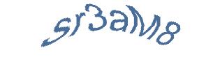 عبارت امنیتی