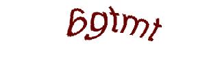 عبارت امنیتی