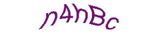 عبارت امنیتی