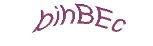 عبارت امنیتی