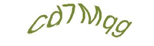 عبارت امنیتی