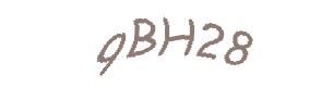 عبارت امنیتی