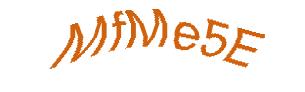 عبارت امنیتی