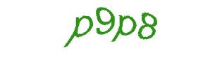 عبارت امنیتی
