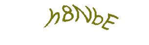 عبارت امنیتی