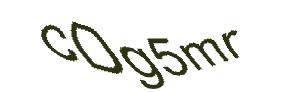 عبارت امنیتی