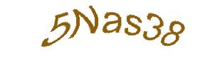 عبارت امنیتی