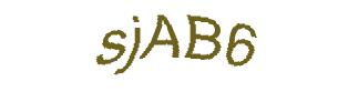 عبارت امنیتی