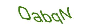 عبارت امنیتی