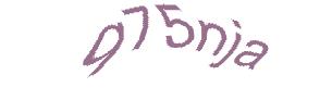 عبارت امنیتی