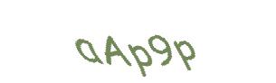 عبارت امنیتی