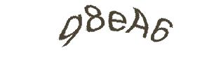 عبارت امنیتی
