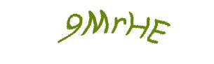 عبارت امنیتی
