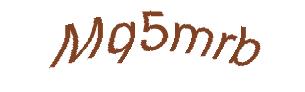 عبارت امنیتی