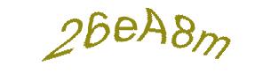 عبارت امنیتی