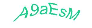 عبارت امنیتی