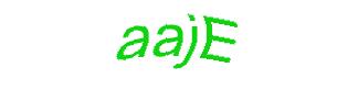 عبارت امنیتی