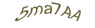 عبارت امنیتی