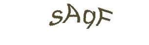 عبارت امنیتی