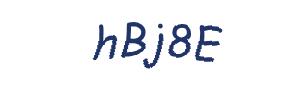 عبارت امنیتی
