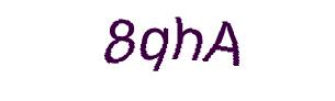 عبارت امنیتی