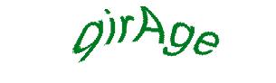 عبارت امنیتی