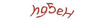 عبارت امنیتی