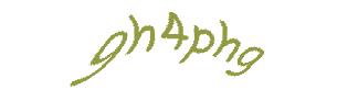 عبارت امنیتی