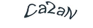 عبارت امنیتی