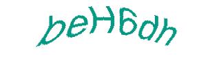 عبارت امنیتی