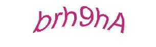 عبارت امنیتی