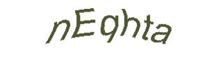 عبارت امنیتی