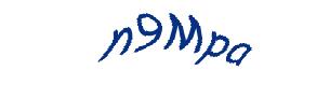 عبارت امنیتی