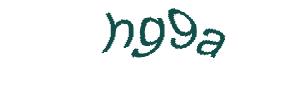 عبارت امنیتی