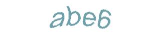 عبارت امنیتی