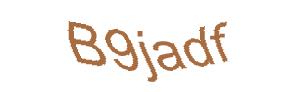 عبارت امنیتی