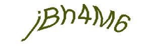 عبارت امنیتی