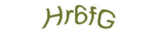 عبارت امنیتی