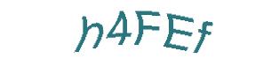 عبارت امنیتی