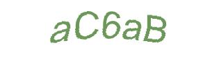 عبارت امنیتی
