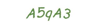 عبارت امنیتی