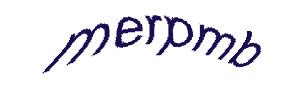 عبارت امنیتی