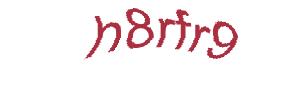 عبارت امنیتی