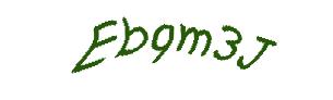عبارت امنیتی