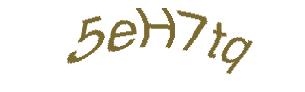 عبارت امنیتی