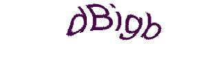 عبارت امنیتی