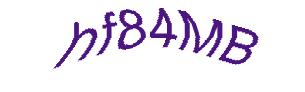 عبارت امنیتی
