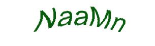عبارت امنیتی