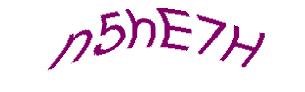 عبارت امنیتی