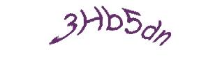 عبارت امنیتی